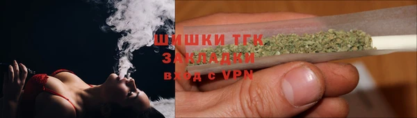 гидра Алексеевка