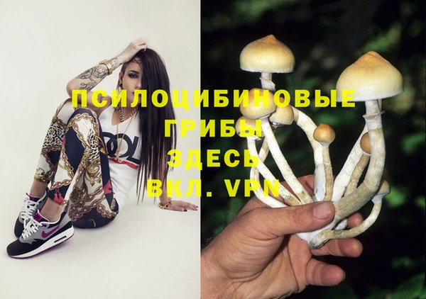 гидра Алексеевка
